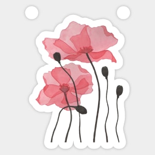 Poppy Floral Watercolor Sticker